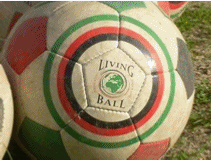Soccer Balls
